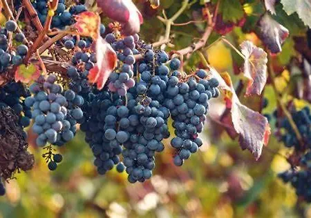 *arcade.room* Appartement *