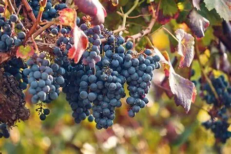 *arcade.room* Daire *